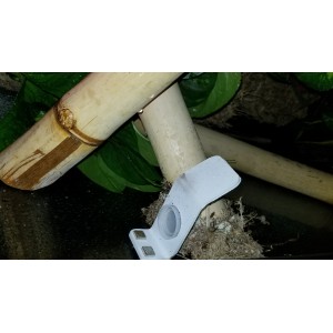 Baby Gecko Feeding Platform